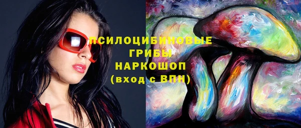 ГАЛЛЮЦИНОГЕННЫЕ ГРИБЫ Верхнеуральск