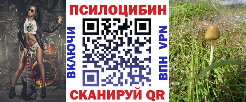 Галлюциногенные грибы Cubensis  Афипский 