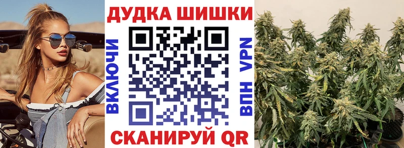 Шишки марихуана сатива  Афипский 